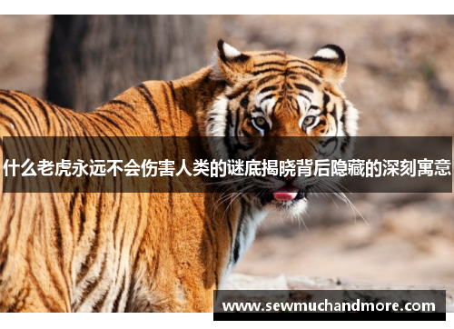 什么老虎永远不会伤害人类的谜底揭晓背后隐藏的深刻寓意