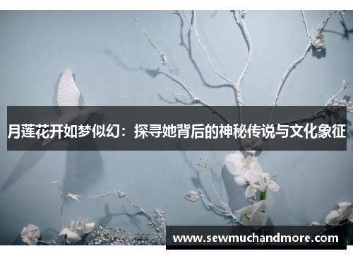 月莲花开如梦似幻：探寻她背后的神秘传说与文化象征