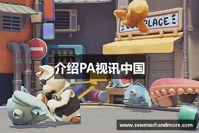 介绍PA视讯中国